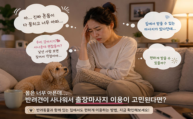 반려동물을 키우는 집에서 출장마사지 이용하는 방법